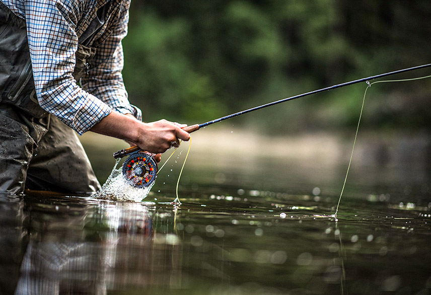 fishing lake camping